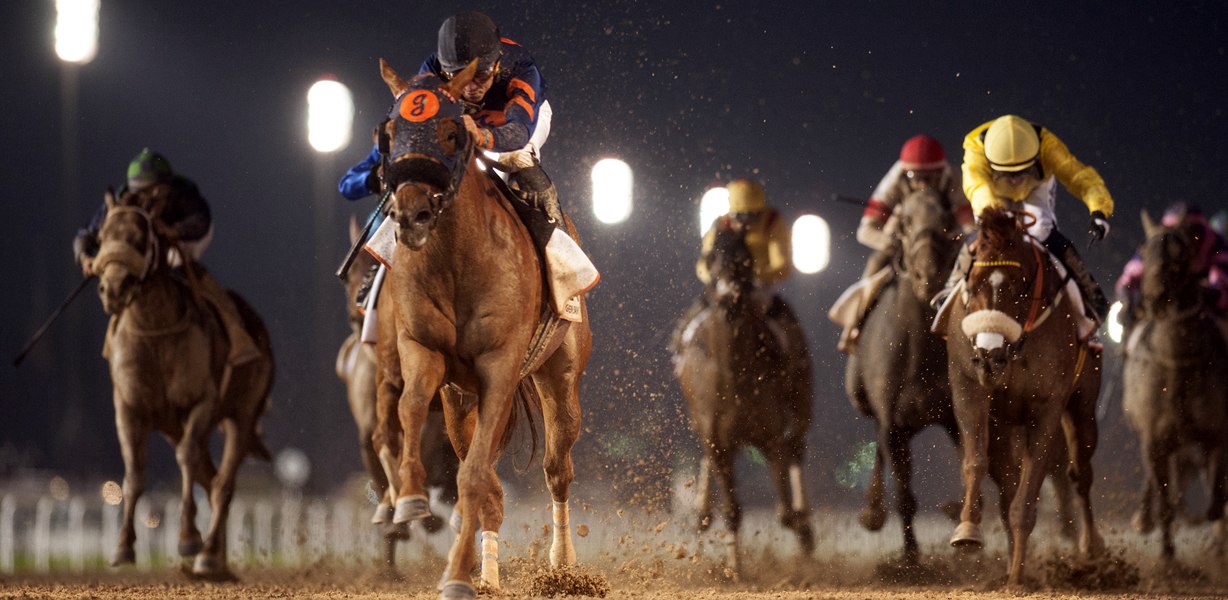 NY Fails to Live Up to Super Bowl Betting Projections